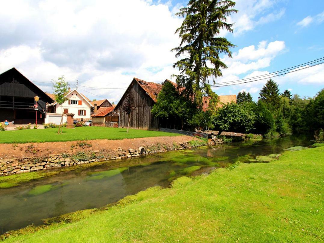 Beaux Lofts Pres D'Europa Park Et Strasbourg Villa Obenheim Екстериор снимка