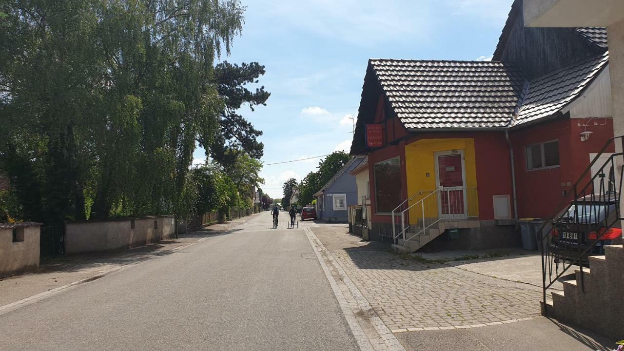 Beaux Lofts Pres D'Europa Park Et Strasbourg Villa Obenheim Екстериор снимка